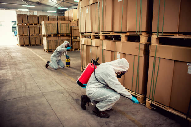 Best Pest Control for Businesses  in Nacogdoches, TX
