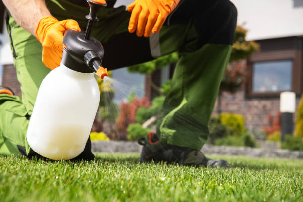 Best Affordable Pest Control Services  in Nacogdoches, TX