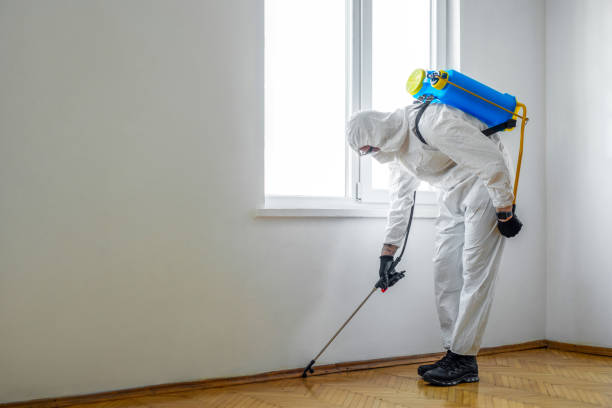 Best Bed Bug Extermination  in Nacogdoches, TX