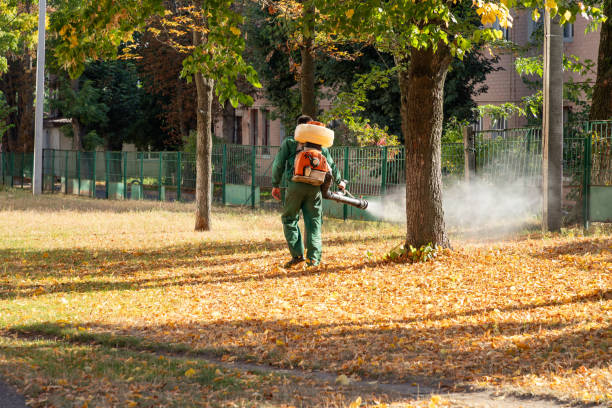 Professional Pest Control in Nacogdoches, TX