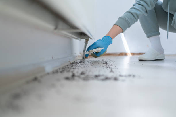 Best Pest Removal Services  in Nacogdoches, TX