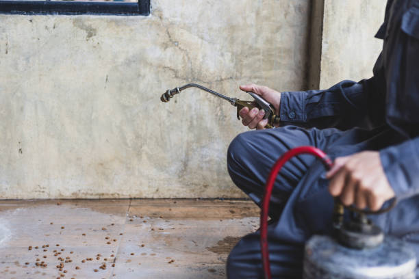 Best Pest Inspection Near Me  in Nacogdoches, TX